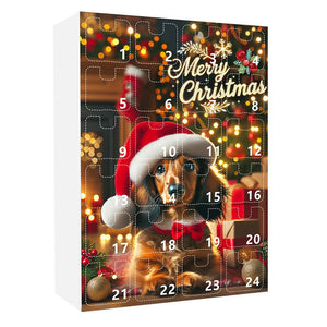 🎅2024 Christmas Dachshund Advent Calendar🎁