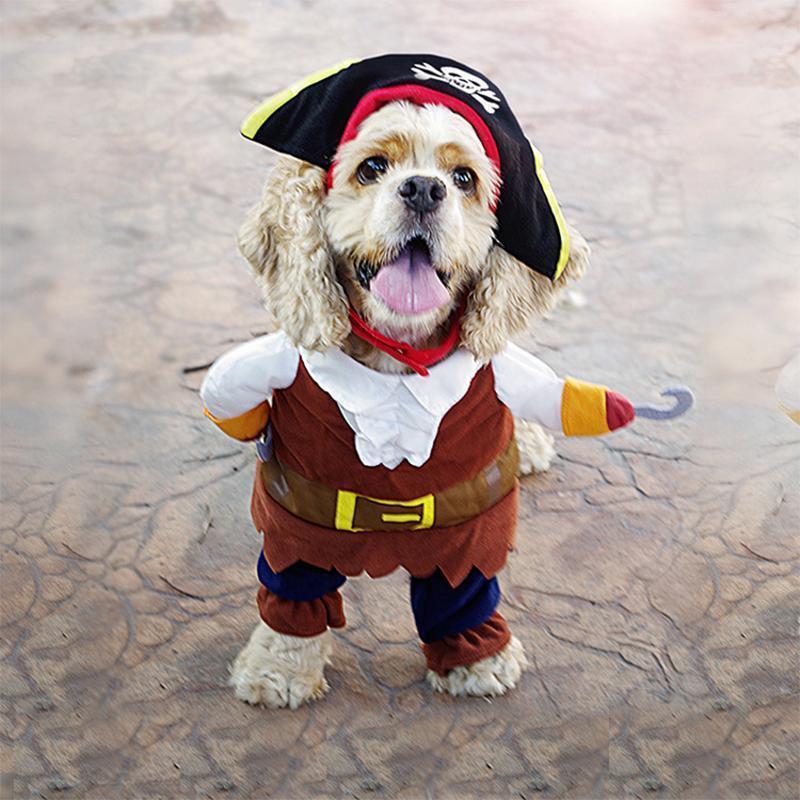 Funny Pet Costumes