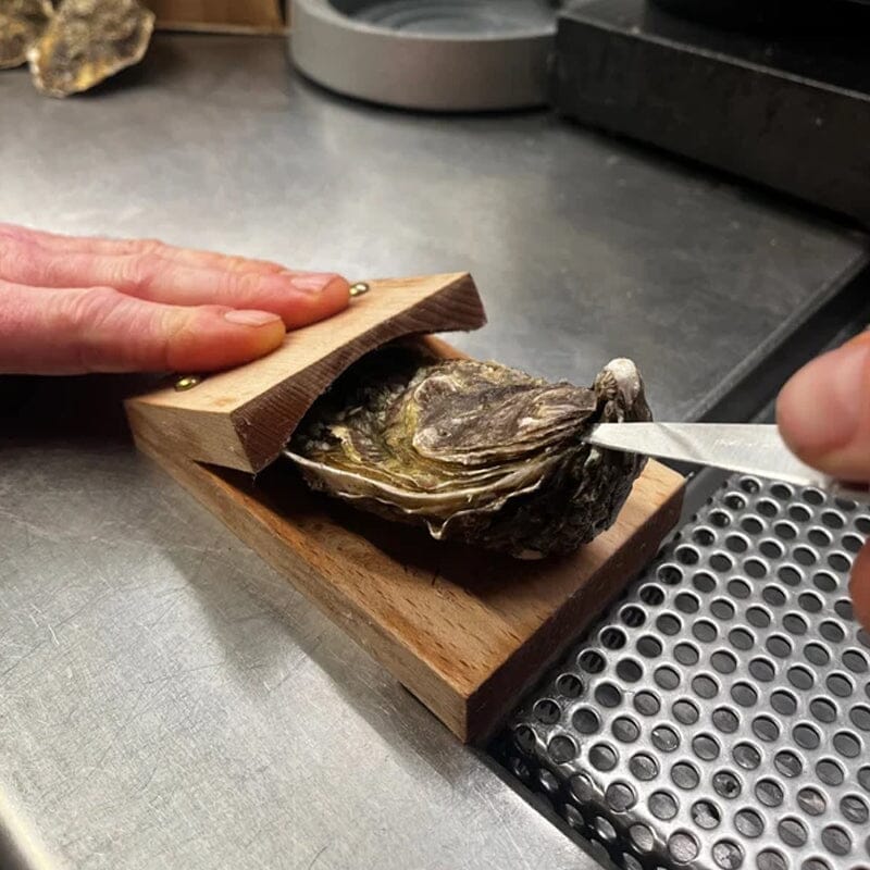 🦪Oyster Shucking Clamp